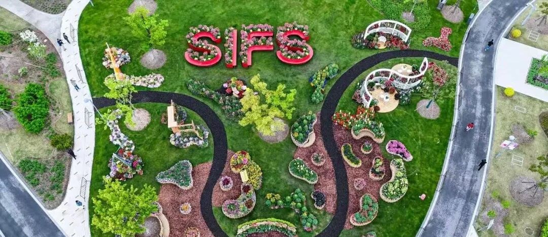 23-Day Extra-Long Blooming Period Kicks Off Tomorrow! Complete Guide to 2026 Shanghai International Flower Festival →