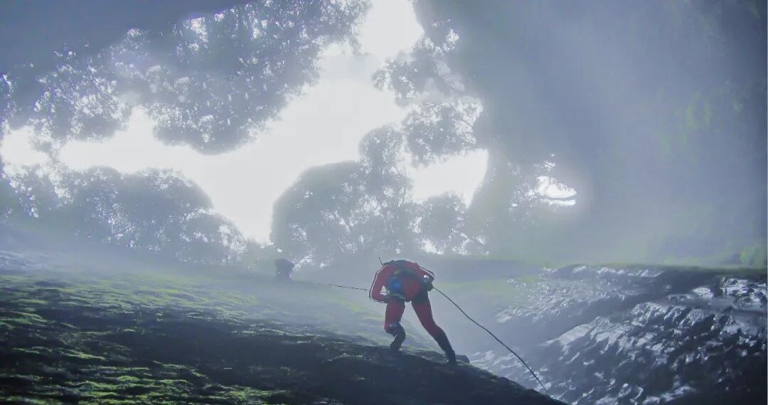 503 Core Journey Loop: Fuling's Abyss Actually Won an 'Oscar'