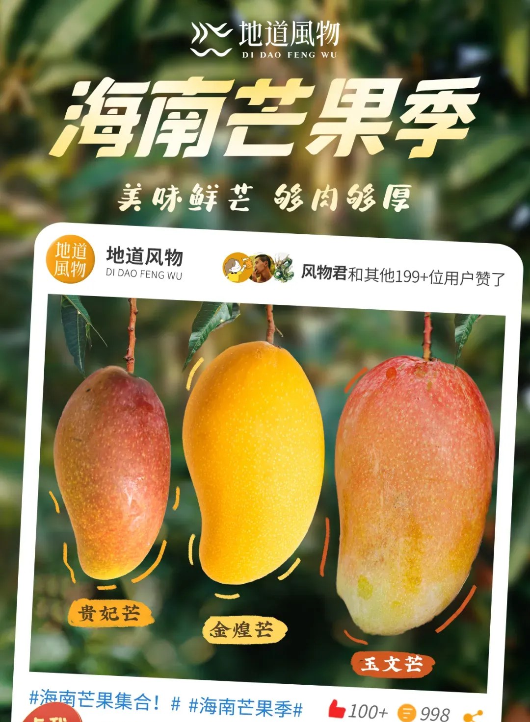 Among the numerous mango varieties in Sanya, which one is your No.1?