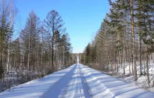 Opening a New Era of China's Ice and Snow Tourism Development: Analysis of Ice and Snow Tourism Development Trends