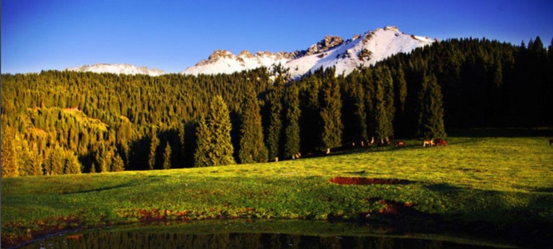 After seeing photos of China's landscapes 32 years ago, I realized how important green is