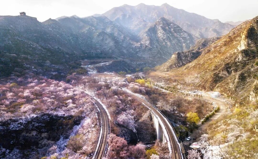Stunning China Flower-Viewing Map Goes Viral! The Floral Paradise You've Waited All Year For! Time to See the Most Beautiful Spring on This Planet!