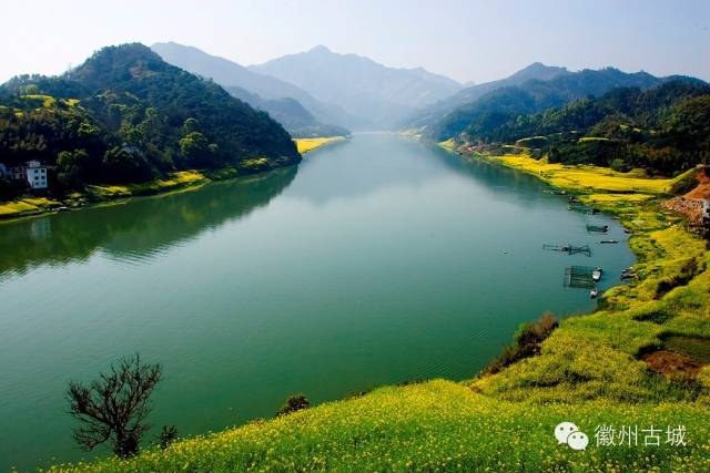 China's Most Beautiful Flower Appreciation Spots | A Hundred Miles of Golden Gallery (With Latest Blooming Periods and Routes)